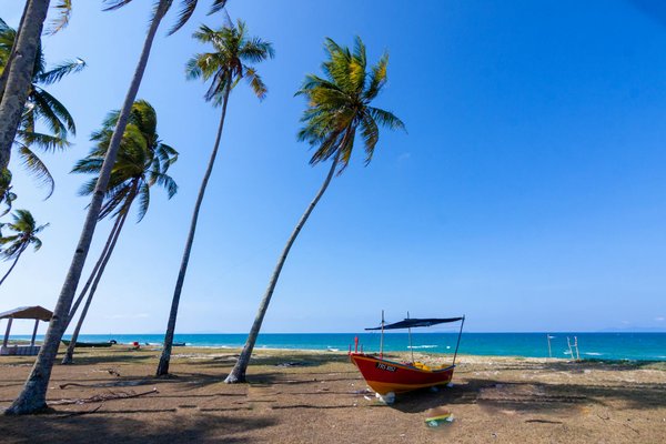 Comment intégrer des activités locales authentiques dans votre itinéraire de voyage ?